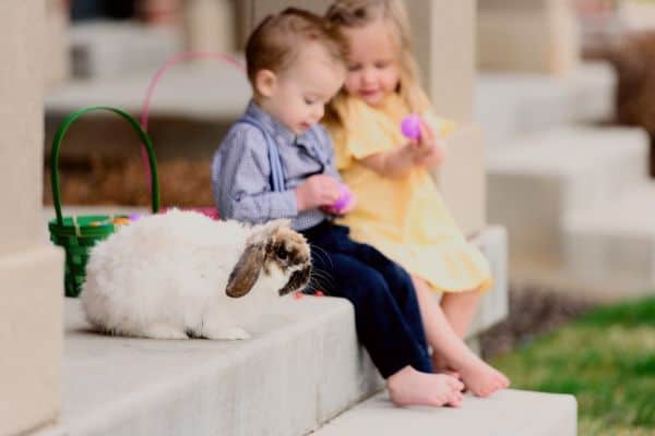 two kids sitting on the porch with a rabbit