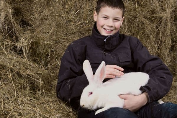 boy sitting on a bale of hay with a rabbit