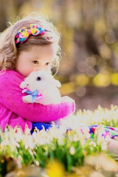 The Best Rabbit For Kids With Tips To Keep It Friendly