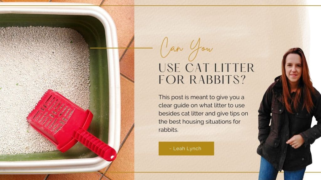 can you use cat litter intro image