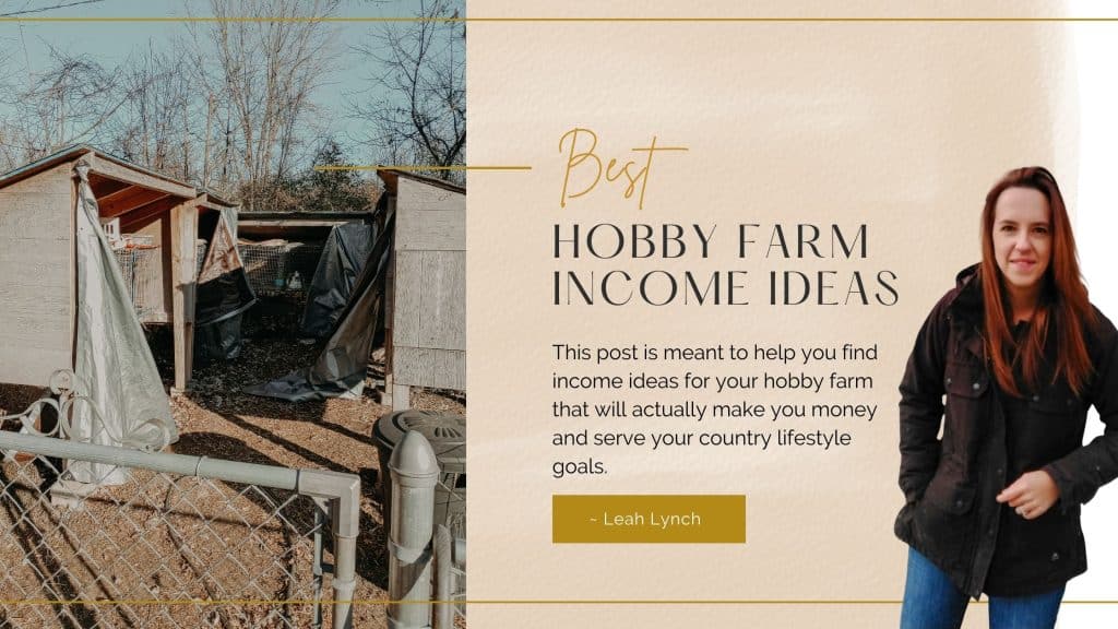hobby farm income ideas intro image
