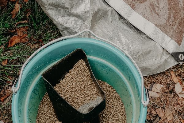 rabbit food in a feed bucket with a feed scoop