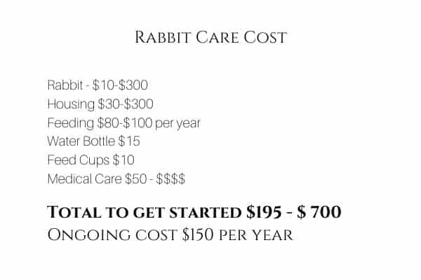 how much is a rabbit total cost list