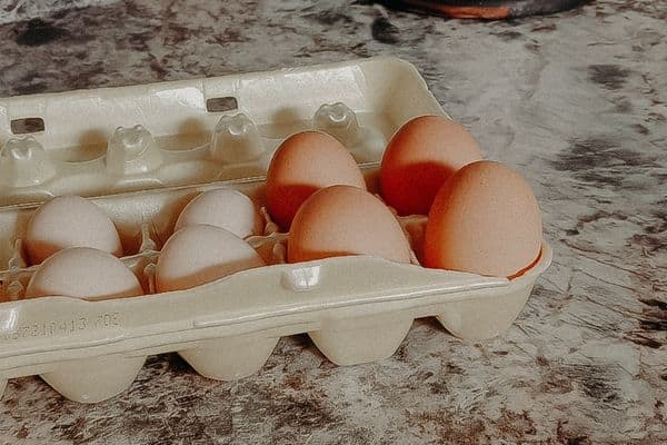 dozen eggs sitting on the counter