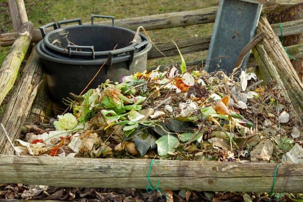 a compost pile that could attract flies around your animals