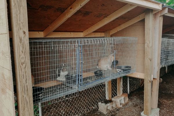 rabbitry hutch with large water bowls.