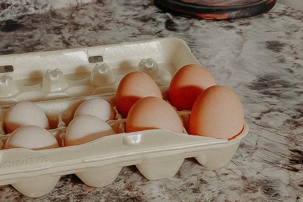 a dozen eggs to sell to make money on your backyard farm