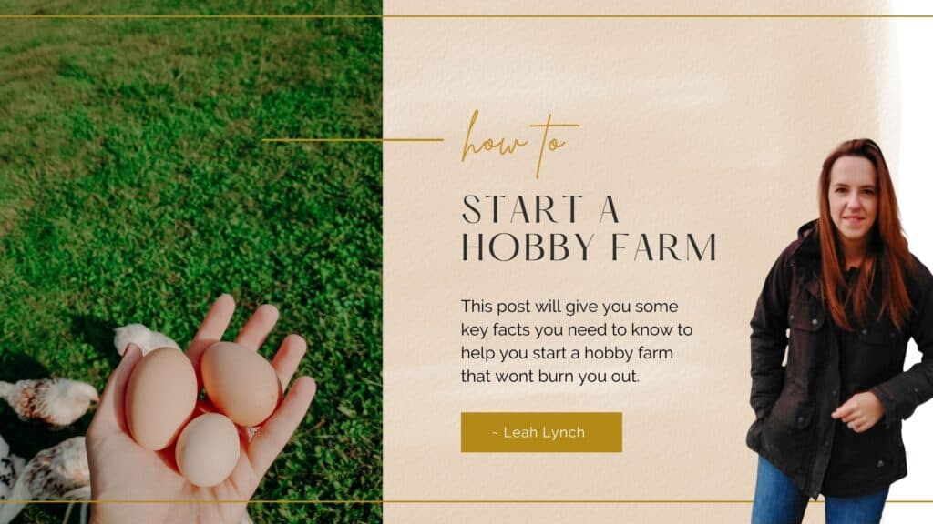 how to start a hobby farm intro image