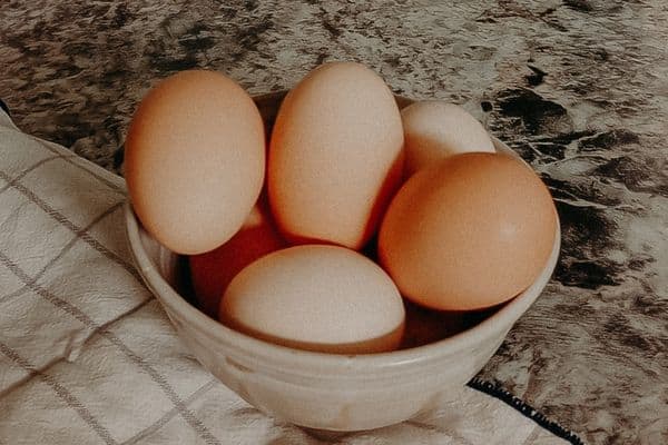 Farm fresh chicken eggs to store for camping