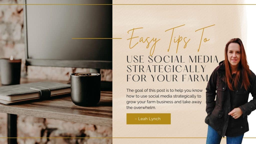 Header image for how to use social media for your farm business 