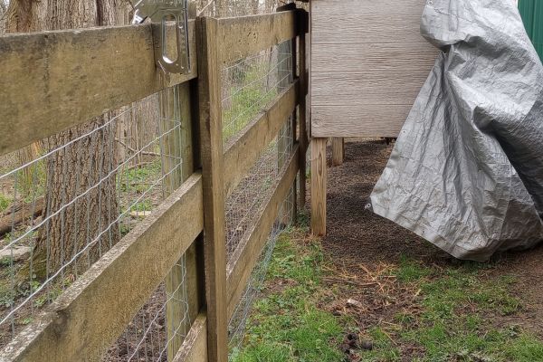 Fencing around rabbit hutches