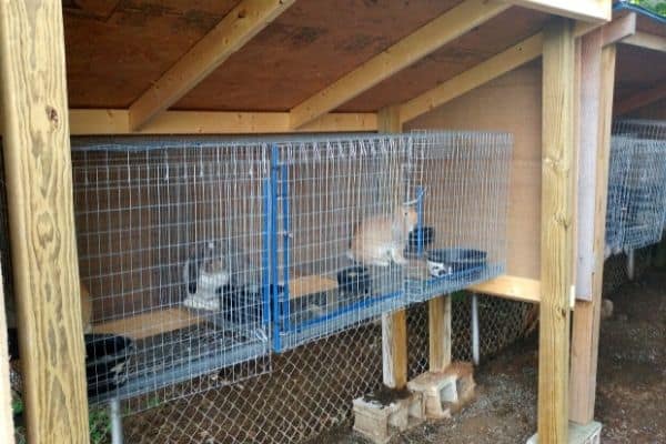leanto style rabbitry hutch