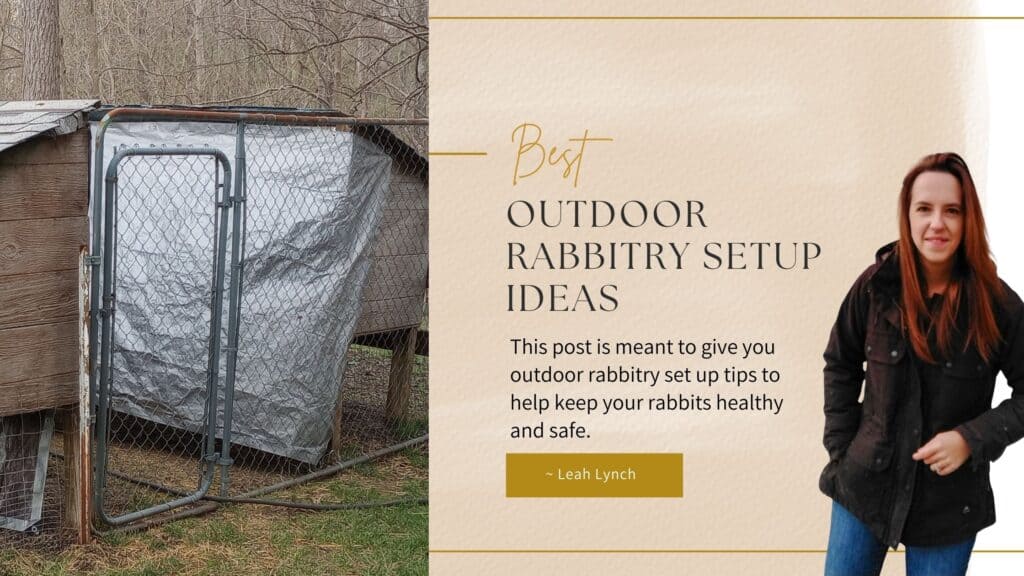 outdoor rabbitry set up post inro image