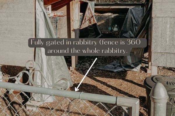a rabbitry with a fully gated in area