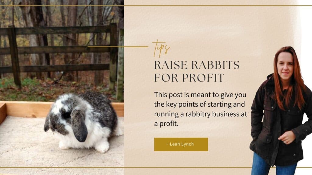 how to raise rabbits for profit intro image.