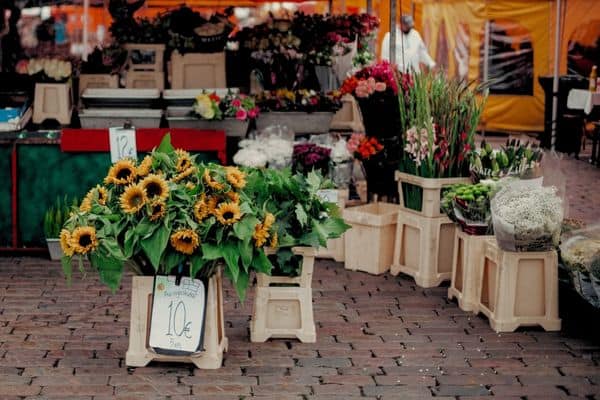 Farmers market selling flowers