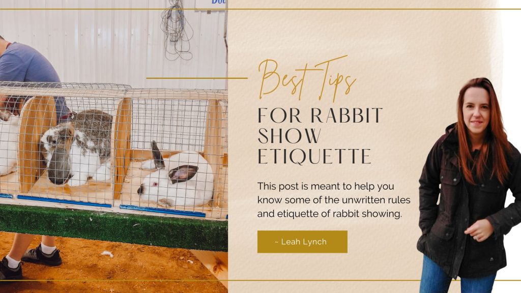 showing rabbits for beginners show etiquette tips and tricks