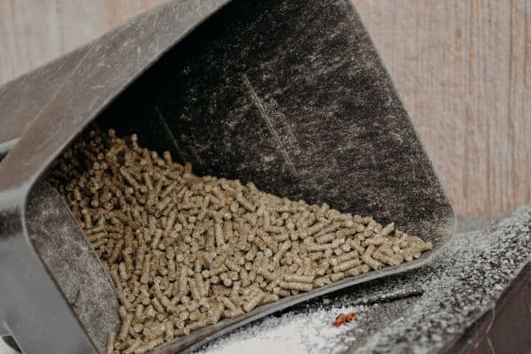 rabbit feed in a feed scoop